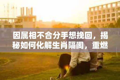 因属相不合分手想挽回，揭秘如何化解生肖隔阂，重燃爱情火花
