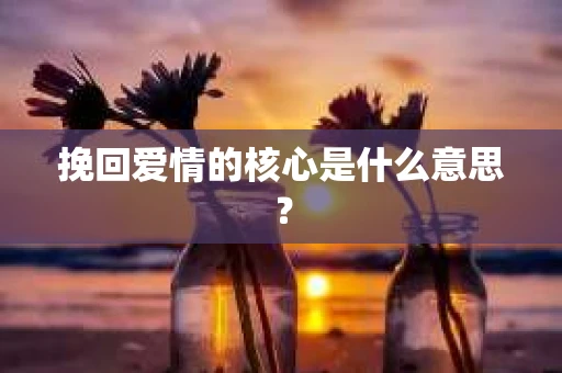 挽回爱情的核心是什么意思？