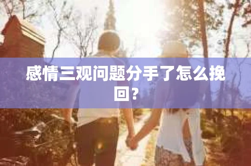 感情三观问题分手了怎么挽回？