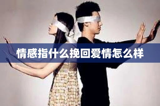 情感指什么挽回爱情怎么样