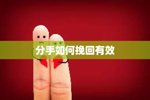 分手如何挽回有效