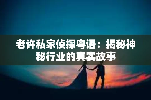 老许私家侦探粤语：揭秘神秘行业的真实故事