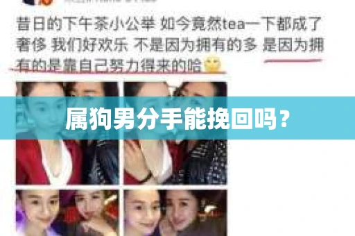 属狗男分手能挽回吗？