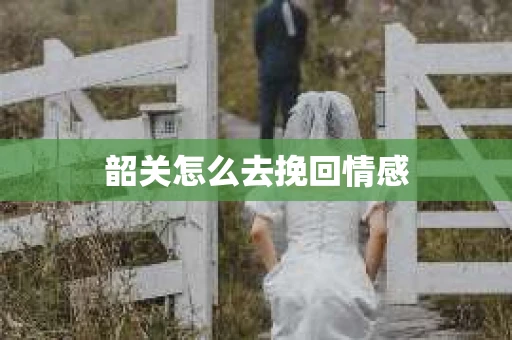 韶关怎么去挽回情感