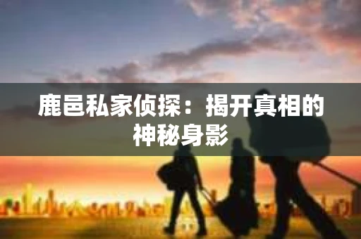 鹿邑私家侦探：揭开真相的神秘身影