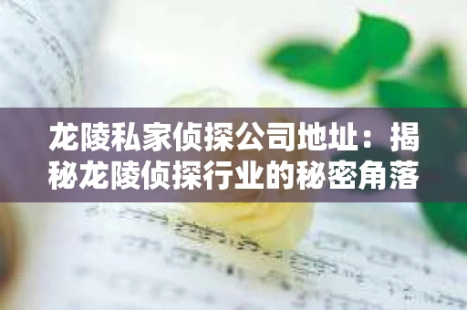 龙陵私家侦探公司地址：揭秘龙陵侦探行业的秘密角落