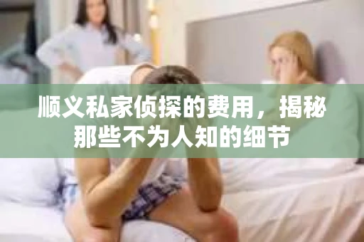 顺义私家侦探的费用，揭秘那些不为人知的细节