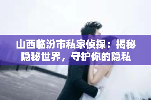 山西临汾市私家侦探：揭秘隐秘世界，守护你的隐私