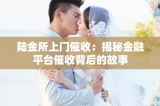 陆金所上门催收：揭秘金融平台催收背后的故事