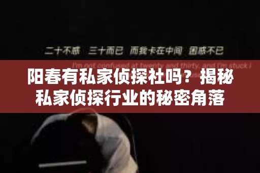 阳春有私家侦探社吗？揭秘私家侦探行业的秘密角落