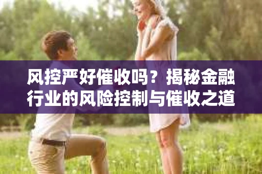 风控严好催收吗？揭秘金融行业的风险控制与催收之道