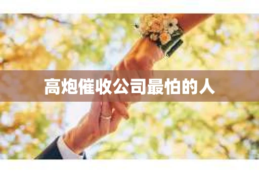 高炮催收公司最怕的人