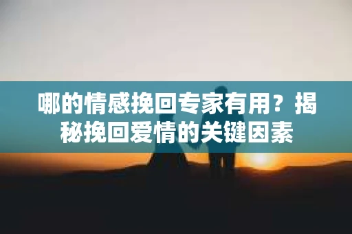 哪的情感挽回专家有用？揭秘挽回爱情的关键因素