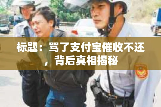 标题：骂了支付宝催收不还，背后真相揭秘