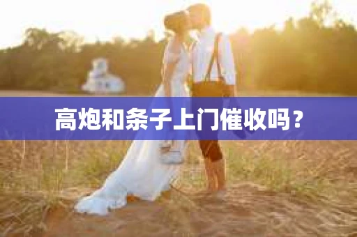 高炮和条子上门催收吗？