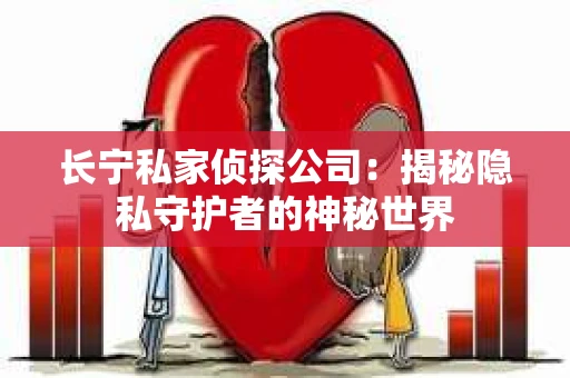 长宁私家侦探公司：揭秘隐私守护者的神秘世界