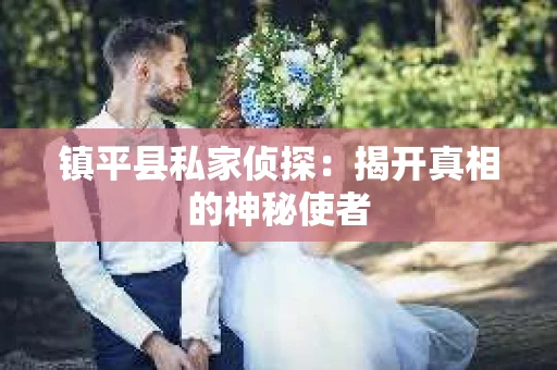 镇平县私家侦探：揭开真相的神秘使者