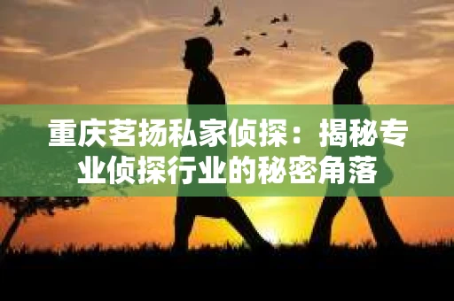 重庆茗扬私家侦探：揭秘专业侦探行业的秘密角落