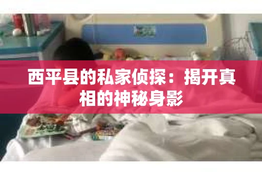 西平县的私家侦探：揭开真相的神秘身影