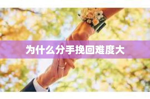 为什么分手挽回难度大