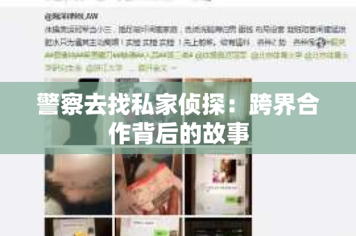 警察去找私家侦探：跨界合作背后的故事