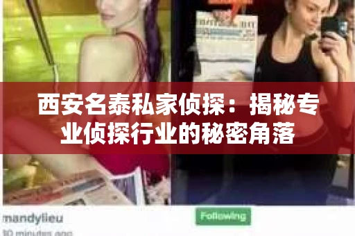 西安名泰私家侦探：揭秘专业侦探行业的秘密角落