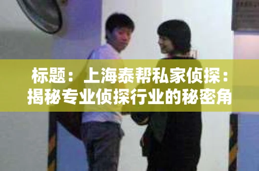 标题：上海泰帮私家侦探：揭秘专业侦探行业的秘密角落