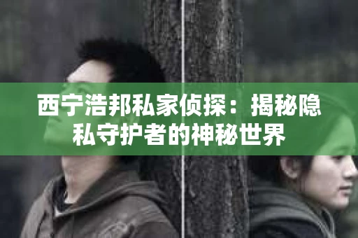 西宁浩邦私家侦探：揭秘隐私守护者的神秘世界